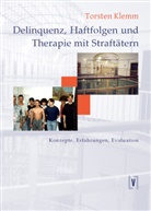 Torsten Klemm - Delinquenz, Haftfolgen und Therapie mit Straftätern