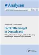 Oliver Koppel, Axel Plünnecke - Fachkräftemangel in Deutschland
