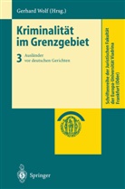 Gerhar Wolf, Gerhard Wolf - Kriminalität im Grenzgebiet - 3: Ausländer vor deutschen Gerichten