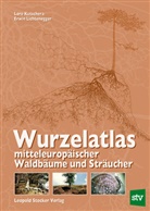 Lore Kutschera, Erwin Lichtenegger - Wurzelatlas mitteleuropäischer Waldbäume und Sträucher