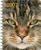Katzen, Buchkalender
