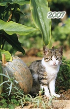 Katzen, Timer