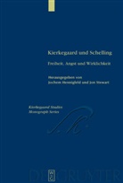 Joche Hennigfeld, Jochem Hennigfeld, Stewart, Stewart, Jon Stewart - Kierkegaard und Schelling