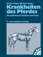 Hanns-Jürgen Wintzer - Krankheiten des Pferdes