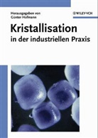 Günter Hofmann - Kristallisation in der industriellen Praxis