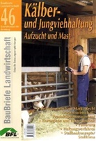 Kälber- und Jungviehhaltung