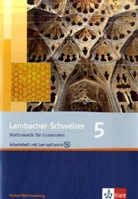 Matthias Dorn - Lambacher-Schweizer, Ausgabe Baden-Württemberg, Neubearbeitung - 5: 9. Schuljahr; Arbeitsheft m. Lösungen u. CD-ROM