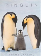 Frans Lanting - Pinguin