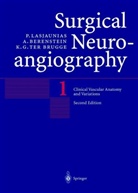 Berenstein, A Berenstein, A. Berenstein, Alejandro Berenstein, Karel ter Brugge, Lasjaunias... - Clinical Vascular Anatomy and Variations