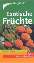 Gabriele Colditz, Gabriele Lehari - Exotische Früchte