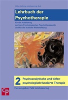 Wolfgan Hiller, Wolfgang Hiller, Eri Leibing, Eric Leibing, Falk Leichsenring, Wolfgang Hiller... - Lehrbuch der Psychotherapie - 2: Psychoanalytische und tiefenpsychologisch fundierte Therapie