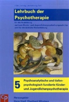 Wolfgang u a Hiller, Han Hopf, Eberhar Windaus, Wolfgang Hiller, Hans Hopf, Eric Leibing... - Lehrbuch der Psychotherapie - 5: Psychoanalytische und tiefenpsychologisch fundierte Kinder- und Jugendlichenpsychotherapie