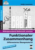 Antje Lesemann - Funktionaler Zusammenhang, m. 1 CD-ROM