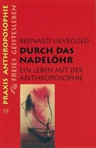 Jelle van der Interview von Meulen, Bernard C J Lievegoed, Bernard C. J. Lievegoed, Bernardus C Lievegoed, Jelle van der Meulen, Frank Berger... - Durch das Nadelöhr