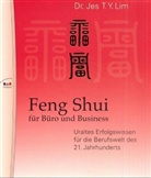 Jes T. Y. Lim - Feng Shui für Büro und Business