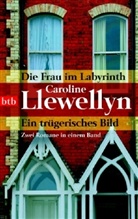 Caroline Llewellyn - Die Frau im Labyrinth. Ein trügerisches Bild