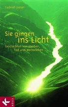 Gabriel Looser - Sie gingen ins Licht