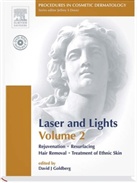 David Goldberg, David J. Goldberg - Lasers and Lights