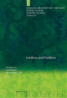 Joaquim Brandão de Carvalho, Tobia Scheer, Tobias Scheer, Philippe Ségéral - Lenition and Fortition