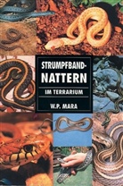 W. P. Mara - Strumpfbandnattern im Terrarium