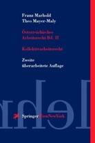 Franz Marhold, Theo Mayer-Maly - Österreichisches Arbeitsrecht - Bd.2: Kollektivarbeitsrecht