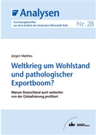 Jürgen Matthes - Weltkrieg um Wohlstand und pathologischer Exportboom?
