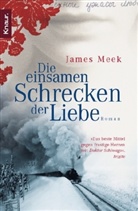 James Meek - Die einsamen Schrecken der Liebe