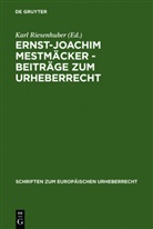 Ernst-Joachim Mestmäcker, Kar Riesenhuber, Karl Riesenhuber - Beiträge zum Urheberrecht