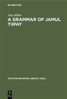 Amy Miller - A Grammar of Jamul Tiipay
