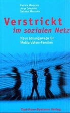 Jorge Colapinto, Patricia Minuchin, Salvador Minuchin - Verstrickt im sozialen Netz