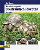 Georg Mirlach - Ihr Hobby Breitrandschildkröten