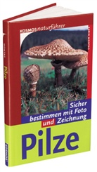 Karin Montag - Pilze