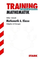 Alfred Müller, Achim Schmidt - Mathematik, 6. Klasse