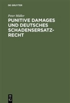 Peter Müller - Punitive Damages und deutsches Schadensersatzrecht