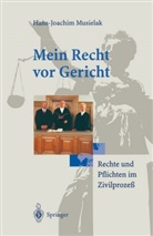 Hans-Joachim Musielak - Mein Recht vor Gericht