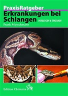 Frank Mutschmann - Erkrankungen bei Schlangen