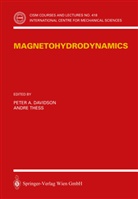 Pete A Davidson, Peter A Davidson, P. A. Davidson, Peter A. Davidson, Thess, Thess... - Magnetohydrodynamics