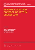 L. Cortelezzi, Luca Cortelezzi, A. R. Karagozian, Ann R. Karagozian, A. Soldati, Alfredo Soldati - Manipulation and Control of Jets in Crossflow