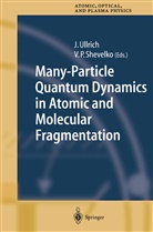 P Shevelko, P Shevelko, V. P. Shevelko, V.P. Shevelko, Viacheslav Shevelko, Viatcheslav P. Shevelko... - Many-Particle Quantum Dynamics in Atomic and Molecular Fragmentation