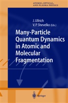 P Shevelko, P Shevelko, V. P. Shevelko, V.P. Shevelko, Viacheslav Shevelko, Viatcheslav P. Shevelko... - Many-Particle Quantum Dynamics in Atomic and Molecular Fragmentation