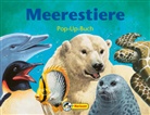 Gill Davies, John Francis - Meerestiere