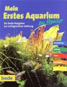 Mein erstes Aquarium zu Hause