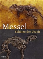 Gabriele Gruber, Norbert Micklich - Messel. Schätze der Urzeit