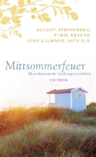 Gabriele Haefs, Christel Hildebrandt, Dagmar Mißfeldt - Mittsommerfeuer