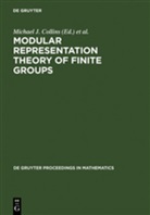 Michael J. Collins, Bria J Parshall, Brian J Parshall, Leonard L Scott, Brian J. Parshall, Leonard L. Scott - Modular Representation Theory of Finite Groups