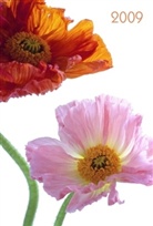 Mohn, Lady-Timer 2009