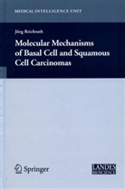 J. Reichrath, Jör Reichrath, Jörg Reichrath - Molecular Mechanisms of Basal Cell and Squamous Cell Carcinomas
