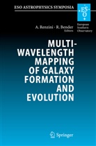 Bender, Ralf Bender, Alvio Renzini - Multiwavelength Mapping of Galaxy Formation and Evolution