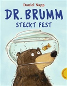Daniel Napp - Dr. Brumm steckt fest