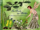 Kati Naumann, Elisabeth Naumann - Im Reich der Waldfee, m. Audio-CD